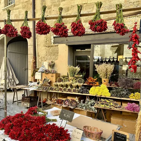 L Atelier De La Sorgue Apartment *